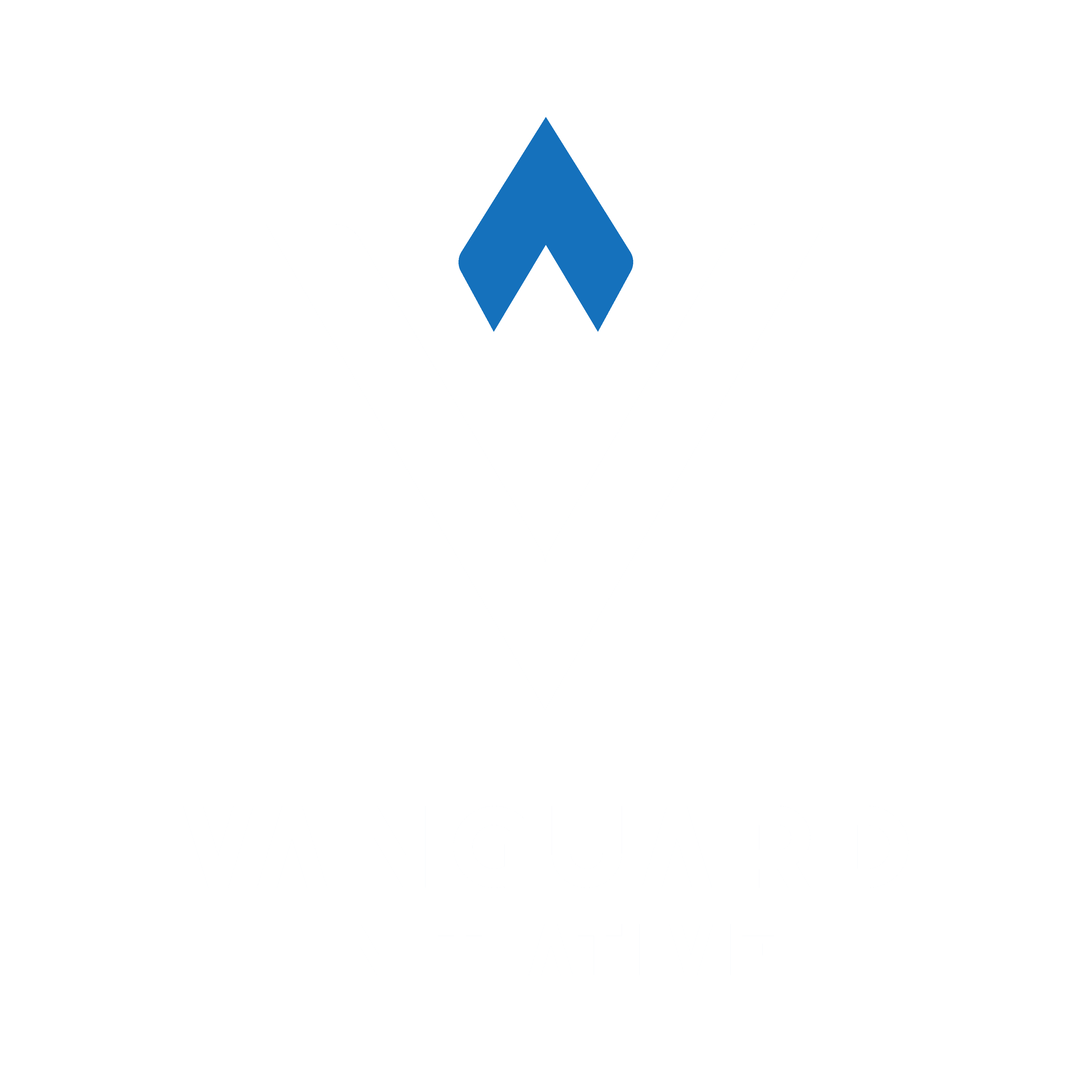 Vanguard Initiative